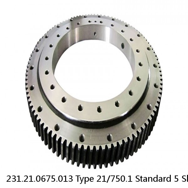 231.21.0675.013 Type 21/750.1 Standard 5 Slewing Ring Bearings