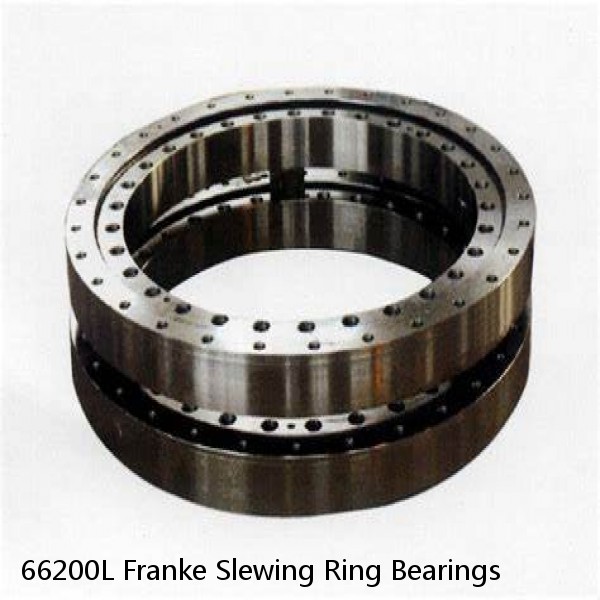 66200L Franke Slewing Ring Bearings