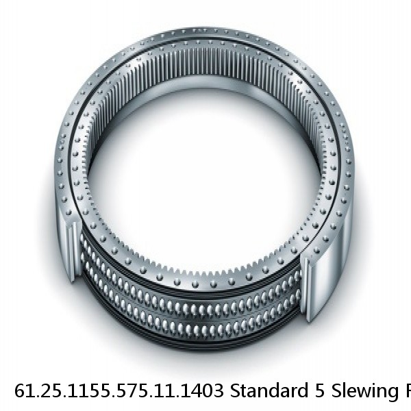 61.25.1155.575.11.1403 Standard 5 Slewing Ring Bearings