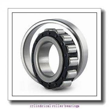 17 mm x 40 mm x 16 mm  FAG NU2203-E-TVP2  Cylindrical Roller Bearings