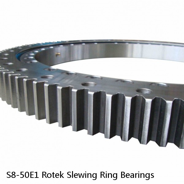 S8-50E1 Rotek Slewing Ring Bearings #1 small image