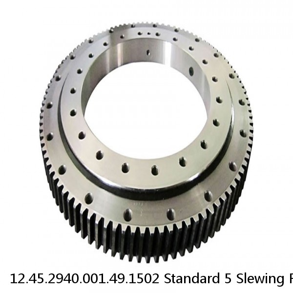 12.45.2940.001.49.1502 Standard 5 Slewing Ring Bearings #1 small image