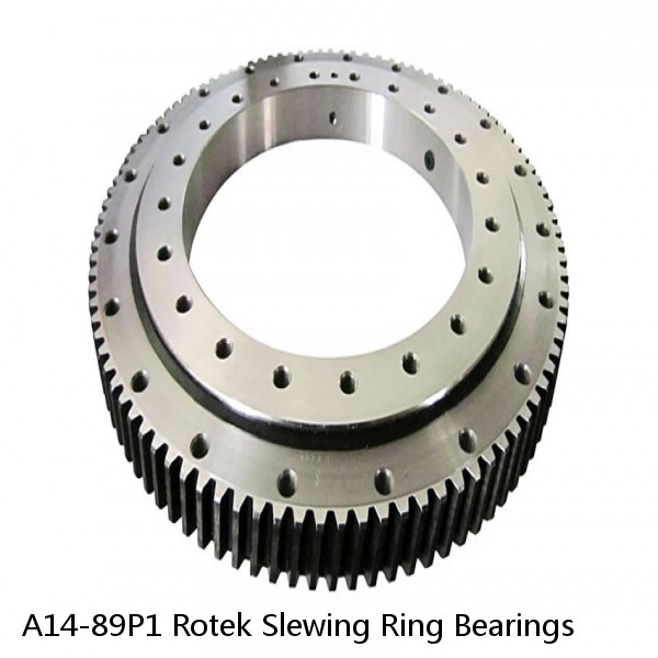 A14-89P1 Rotek Slewing Ring Bearings #1 small image