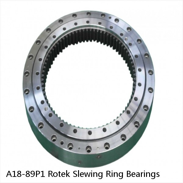 A18-89P1 Rotek Slewing Ring Bearings #1 small image