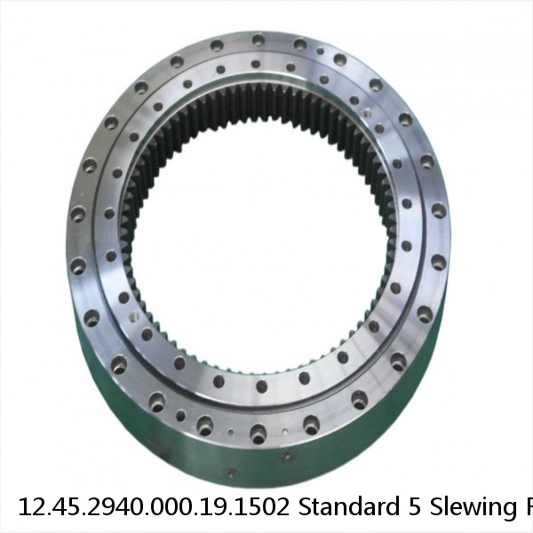 12.45.2940.000.19.1502 Standard 5 Slewing Ring Bearings #1 small image