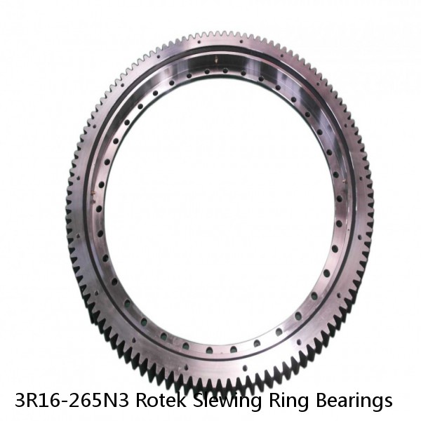 3R16-265N3 Rotek Slewing Ring Bearings #1 small image