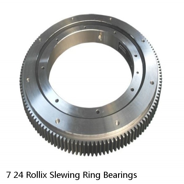 7 24 Rollix Slewing Ring Bearings #1 small image