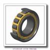 4.134 Inch | 105 Millimeter x 10.236 Inch | 260 Millimeter x 2.362 Inch | 60 Millimeter  ROLLWAY BEARING RUC-421-951  Cylindrical Roller Bearings