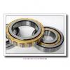 2.953 Inch | 75 Millimeter x 6.299 Inch | 160 Millimeter x 1.457 Inch | 37 Millimeter  ROLLWAY BEARING MUC-315-LIS  Cylindrical Roller Bearings #3 small image