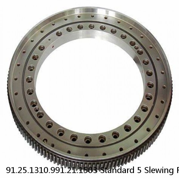 91.25.1310.991.21.1503 Standard 5 Slewing Ring Bearings #1 image