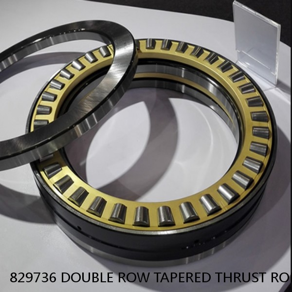 829736 DOUBLE ROW TAPERED THRUST ROLLER BEARINGS #1 image