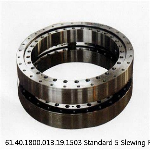 61.40.1800.013.19.1503 Standard 5 Slewing Ring Bearings #1 image