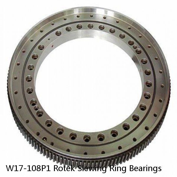 W17-108P1 Rotek Slewing Ring Bearings #1 image