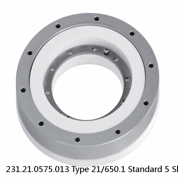 231.21.0575.013 Type 21/650.1 Standard 5 Slewing Ring Bearings #1 image