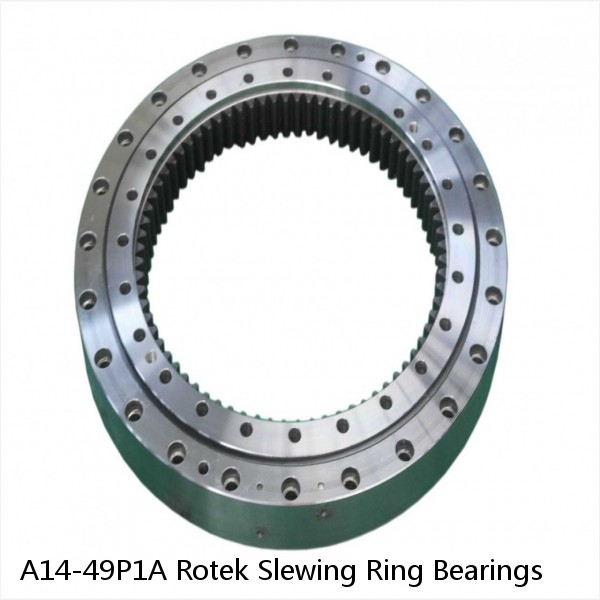A14-49P1A Rotek Slewing Ring Bearings #1 image