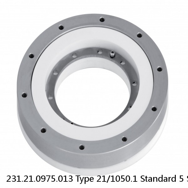231.21.0975.013 Type 21/1050.1 Standard 5 Slewing Ring Bearings #1 image