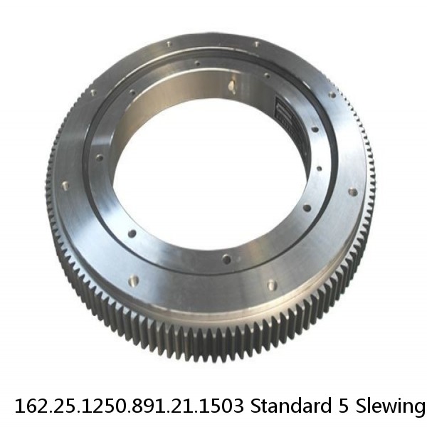 162.25.1250.891.21.1503 Standard 5 Slewing Ring Bearings #1 image