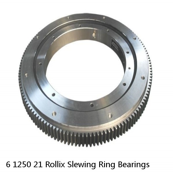 6 1250 21 Rollix Slewing Ring Bearings #1 image