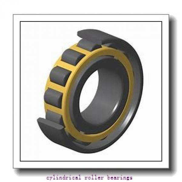 4.134 Inch | 105 Millimeter x 10.236 Inch | 260 Millimeter x 2.362 Inch | 60 Millimeter  ROLLWAY BEARING RUC-421-951  Cylindrical Roller Bearings #2 image