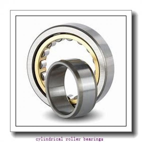 7.48 Inch | 190 Millimeter x 11.811 Inch | 300 Millimeter x 1.811 Inch | 46 Millimeter  ROLLWAY BEARING ML-138  Cylindrical Roller Bearings #1 image