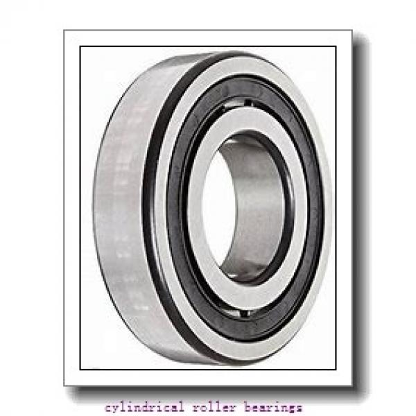 FAG NU315-E-M1-C3  Cylindrical Roller Bearings #2 image