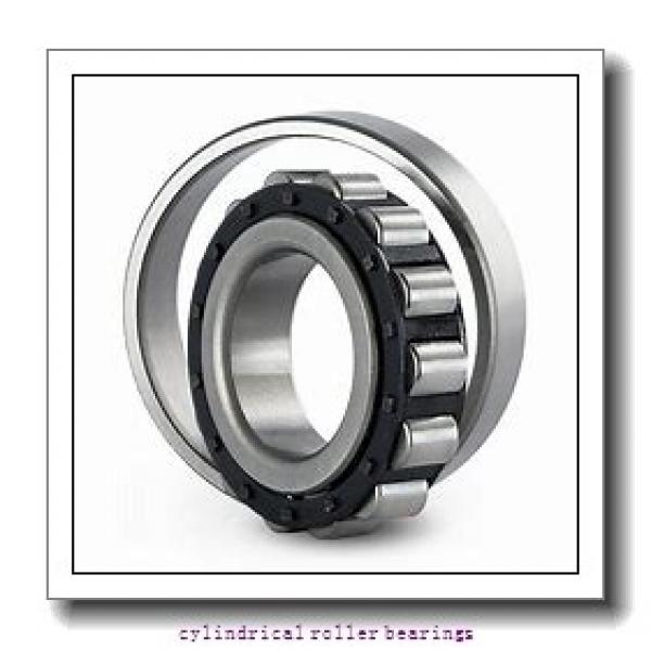 17 mm x 40 mm x 16 mm  FAG NU2203-E-TVP2  Cylindrical Roller Bearings #1 image